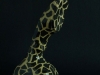 cobra-giraffato-2013